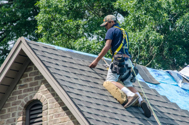 Best New Roof Installation  in Collierville, TN